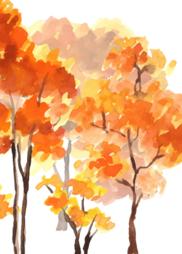 Webseite-Icons-2 Webseite-Icons-2