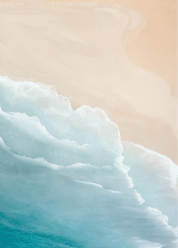 NBB-junior_Blog-Bild NBB-junior_Blog-Bild