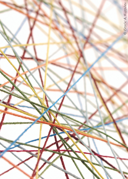 446_Blog-Bild 446_Blog-Bild