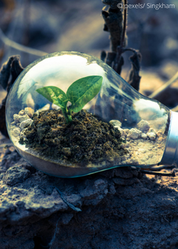 Webseminar_Natur-und-Kultur_Webseiten-Icon