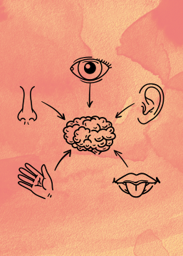 Fobi_Webseite-Icon Fobi_Webseite-Icon